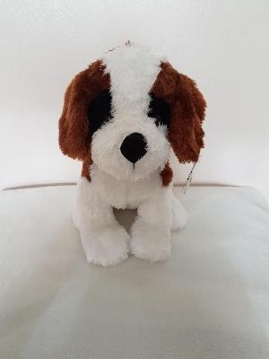 Cuddly Dog