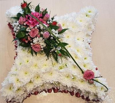 Cushion