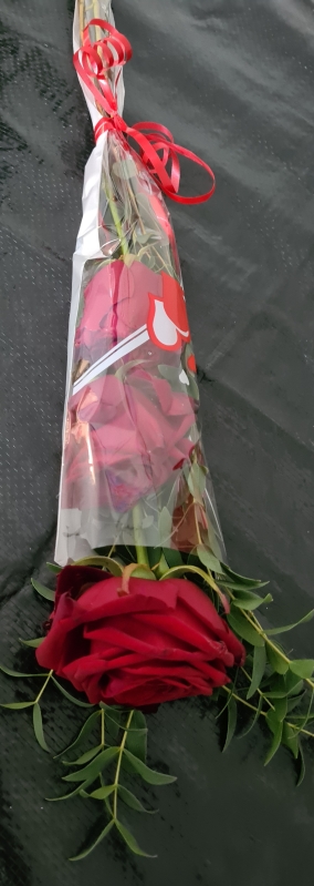 Red roses