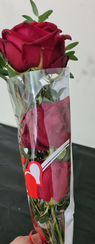 Red roses