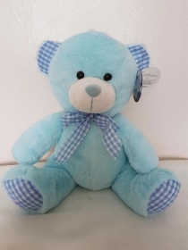 Small Blue Teddy