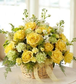 Yellow ming