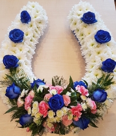 Blue horse shoe
