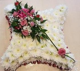 Cushion