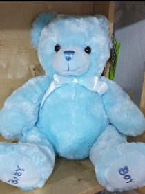 Blue Teddy
