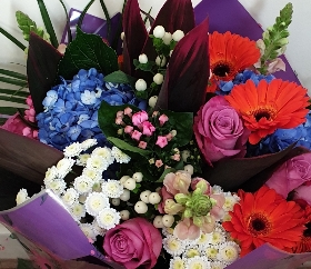 Bluebloom