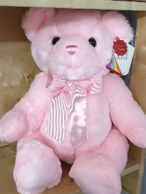 Pink Teddy