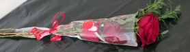Red roses