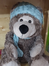 Snuggly Teddy