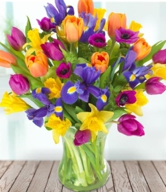 Spring pop