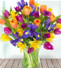 Tulips